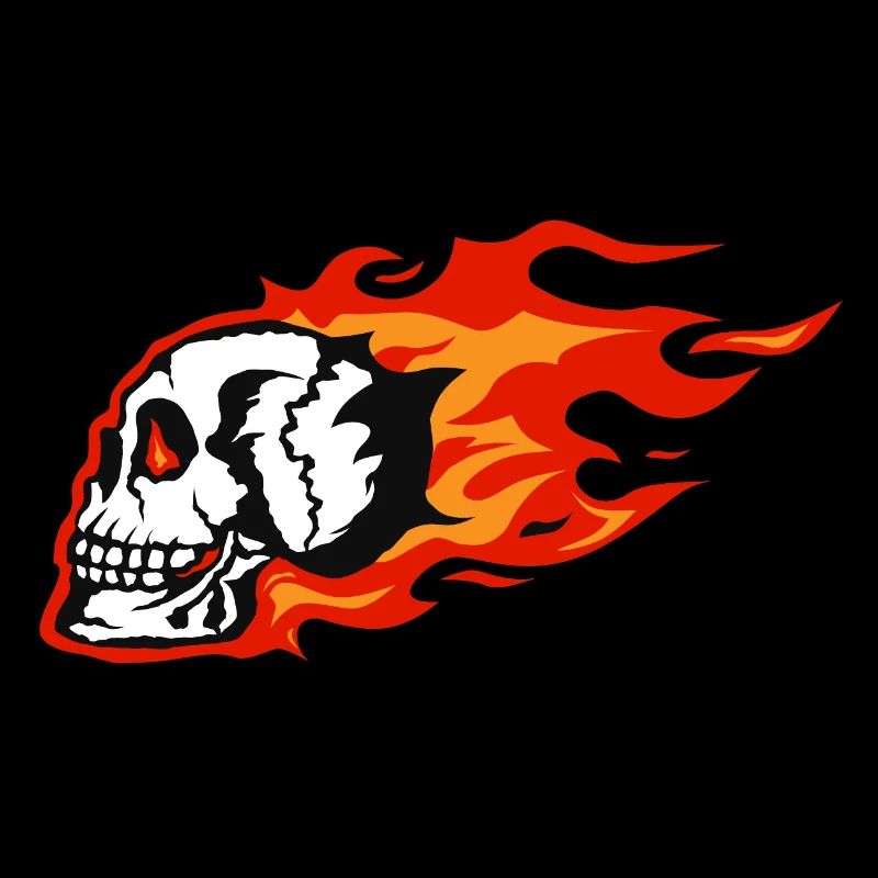 skull profile skull flame flame motrocy