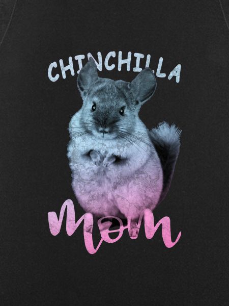Chinchilla