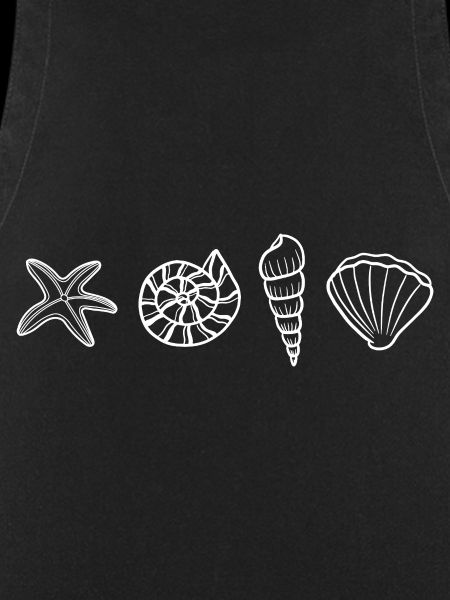 Shells - marine animal