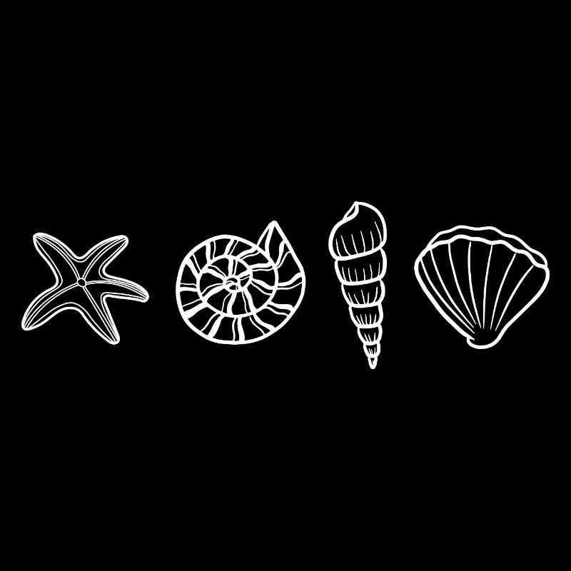 Shells - marine animal