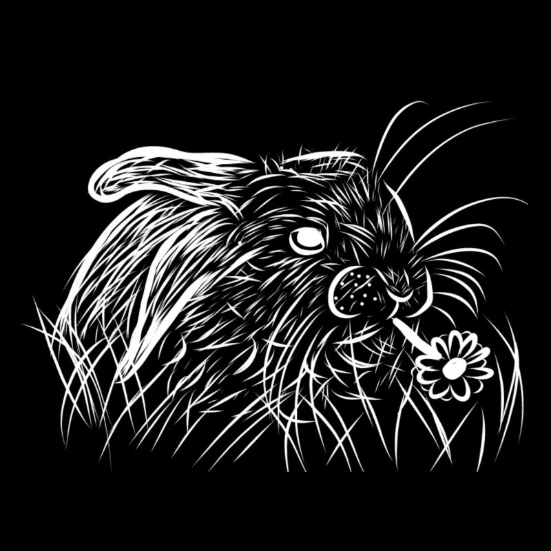 Lapin