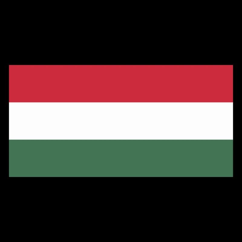 Hungary flag / Drapeau Hongrie