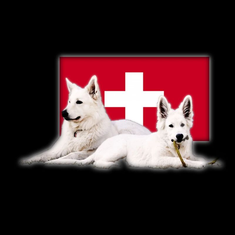 Schweizer Schäferhund