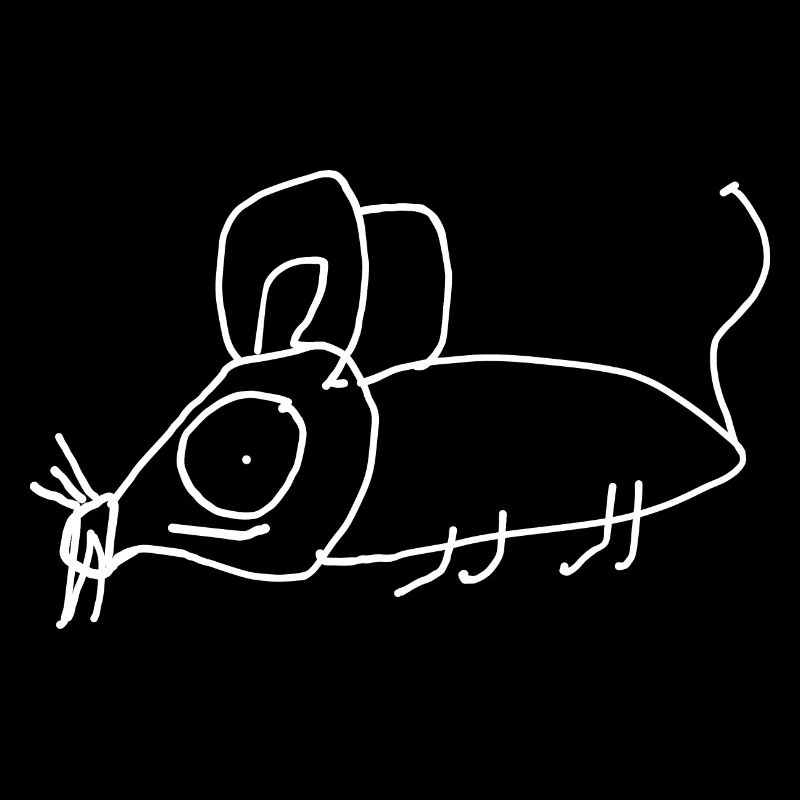 Mouse Animal