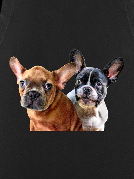 Chiots Bouledogues