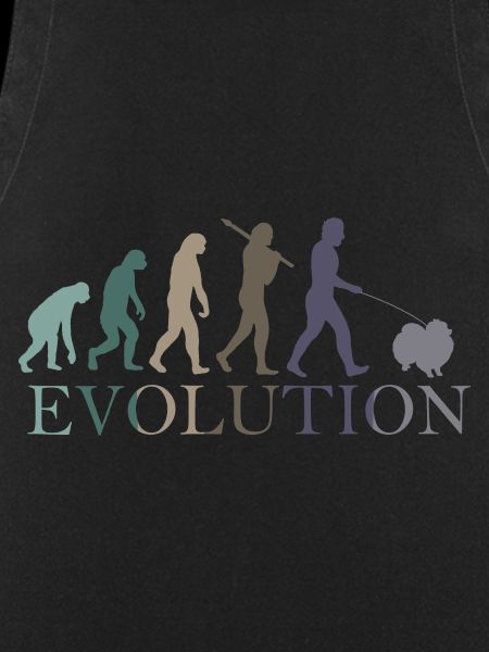 EVOLUTION POMERANIAN
