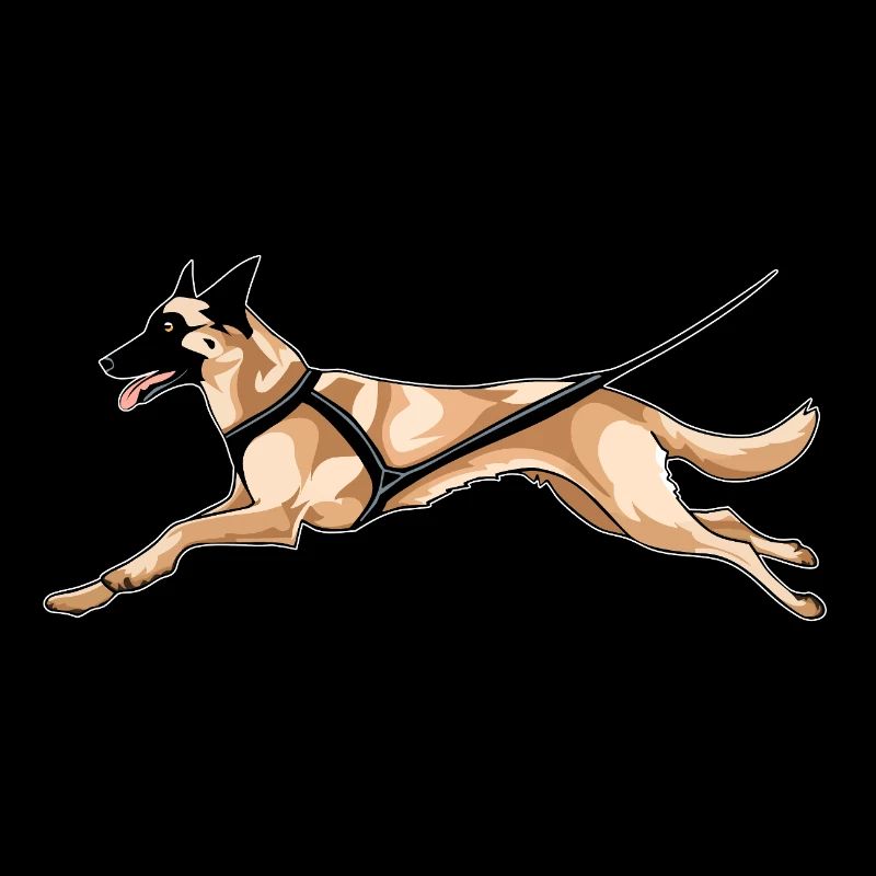 malinois canicross