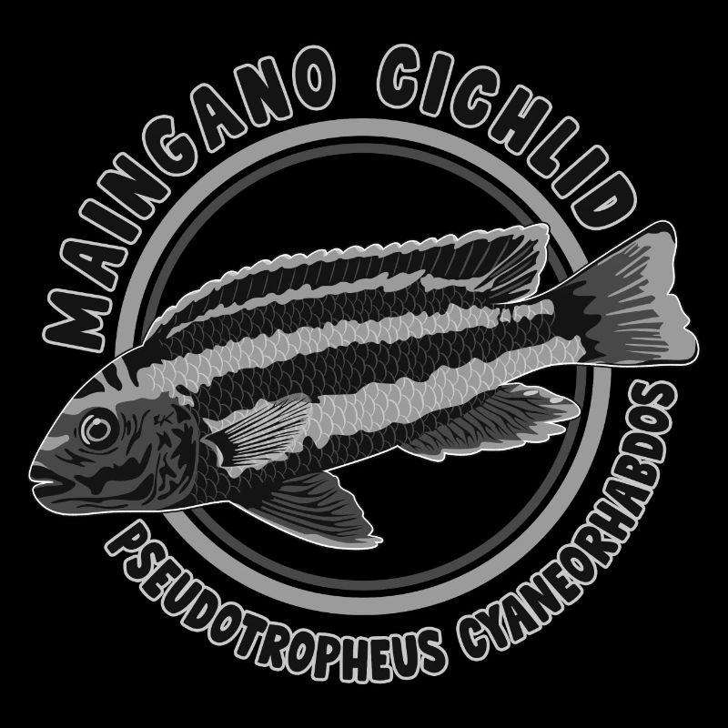 Buntbarsch Malawi Mbuna Maingano Cichlide Aquarium