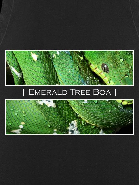 Emerald Tree Boa