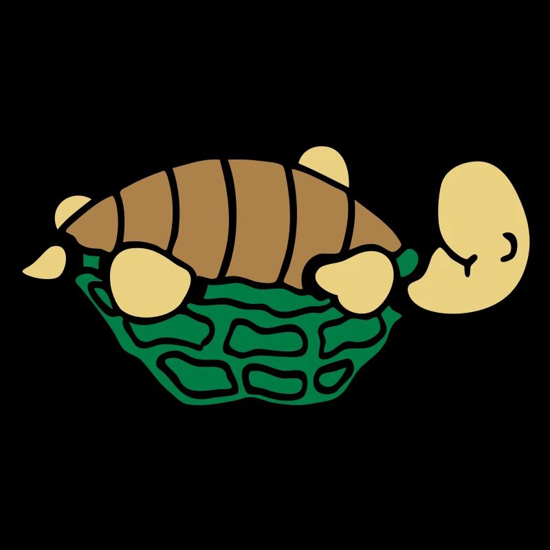 Schildkröte