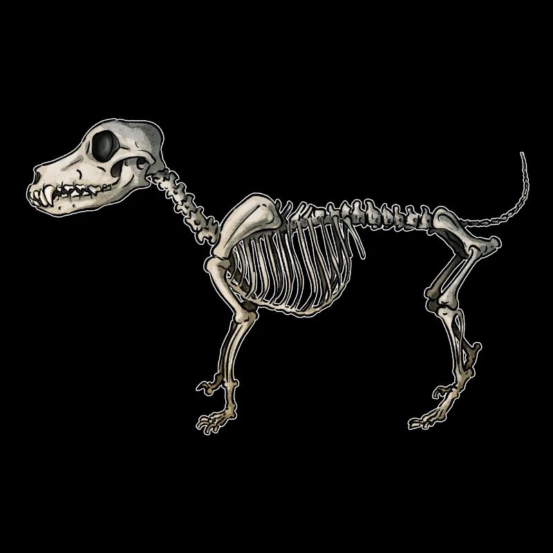 Squelette de chien