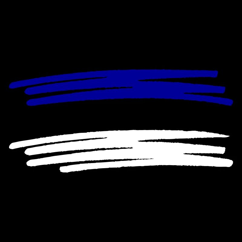 Drapeau de l’Estonie peint drapeau peint