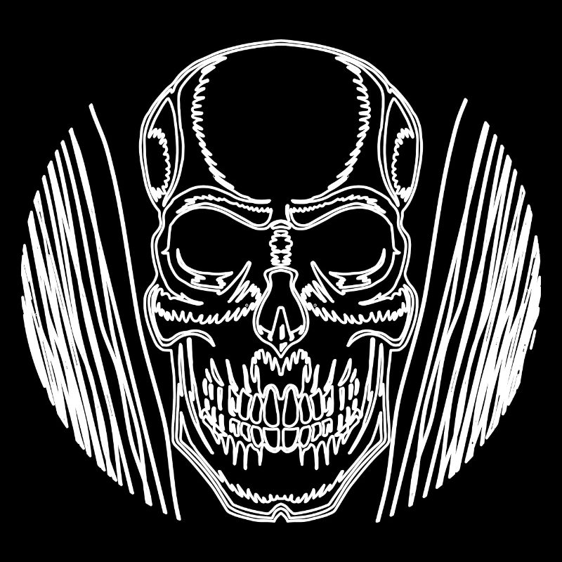 Skull skull motorcycle biker