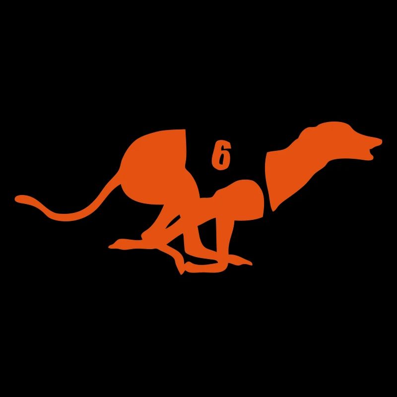 course levrier chien dog 3