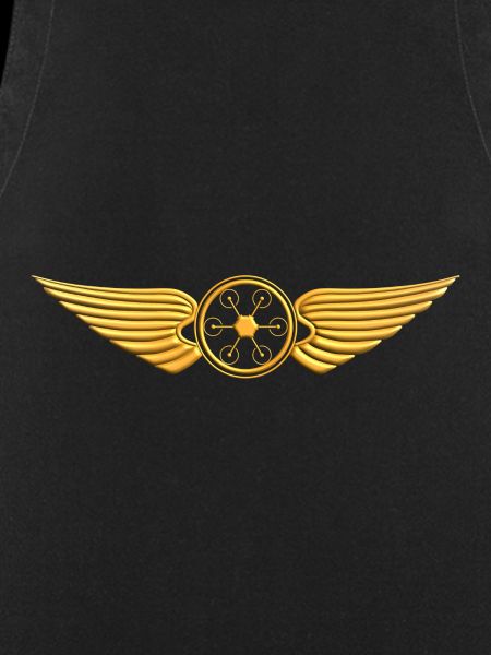 Drone Pilot Drohne