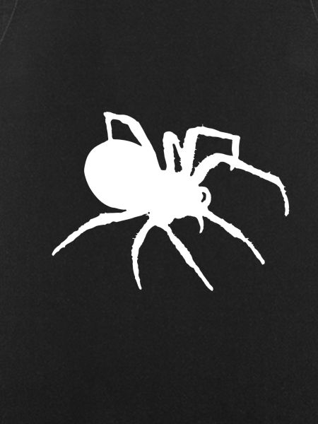 Spider silhouette