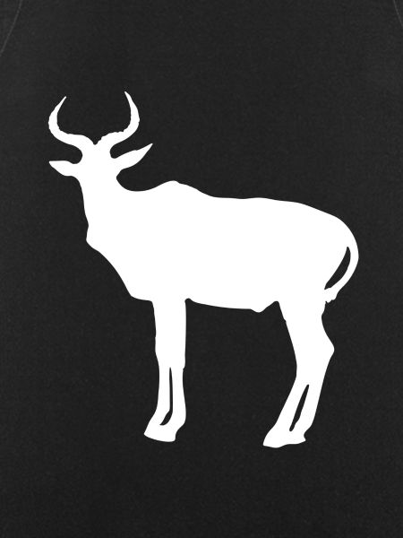 antelope