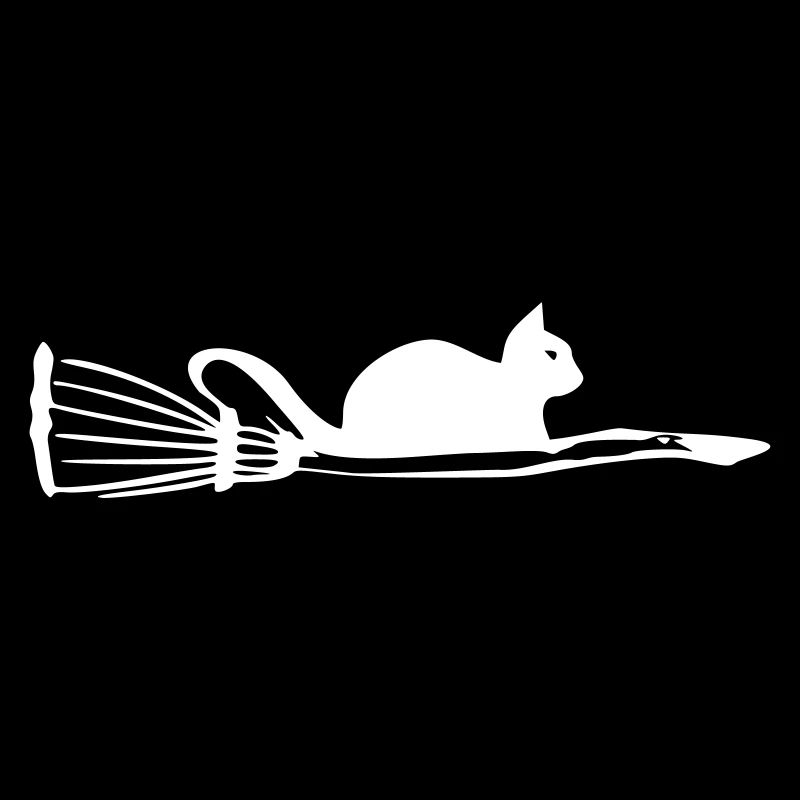 Katze mit Besen