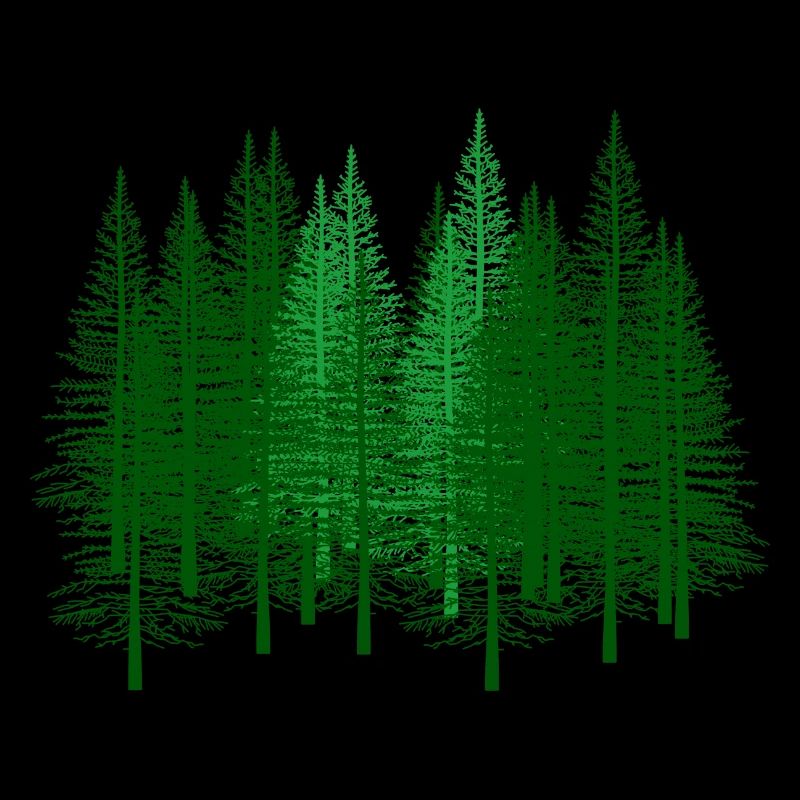 vert, forêt, forêts, forestier, chasseur, sapin, sapin, forêts