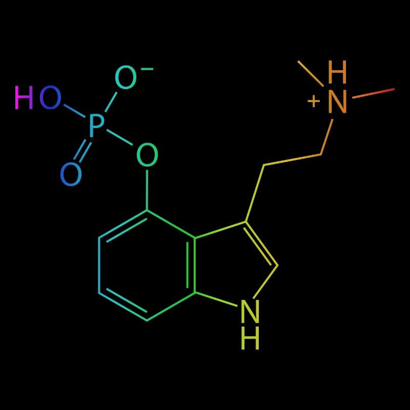Psilocybine Molécule Chimie Champignons Magiques Champignon Psy