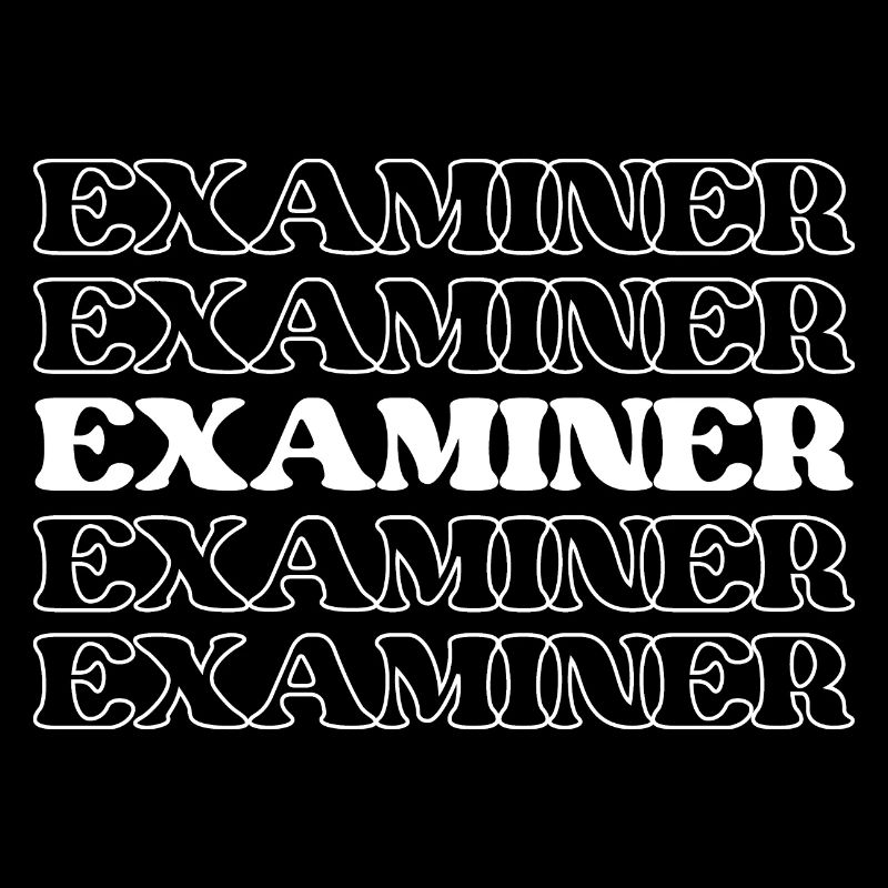 Examiner Checker Auditor Inspector Reviewer
