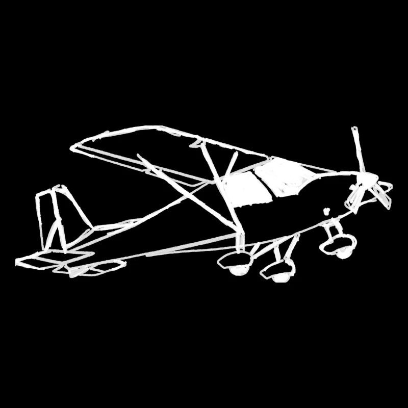 Airplane pilot fly airplane gift