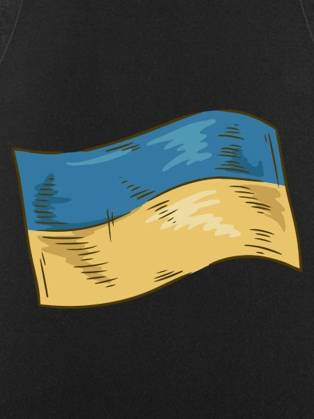 Ukraine Flag