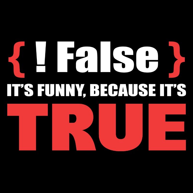 False It's Funny Because It's True Programmierer