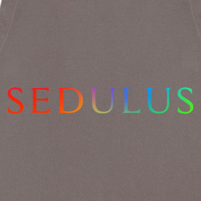 SEDULUS Schriftzug Rainbow