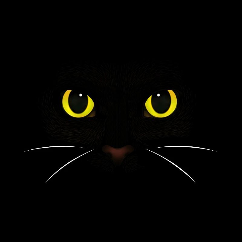 chat noir - Chat de race