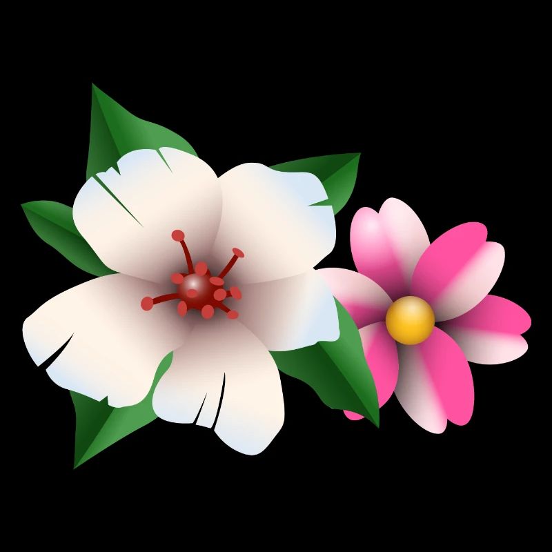 Fleurs d’été