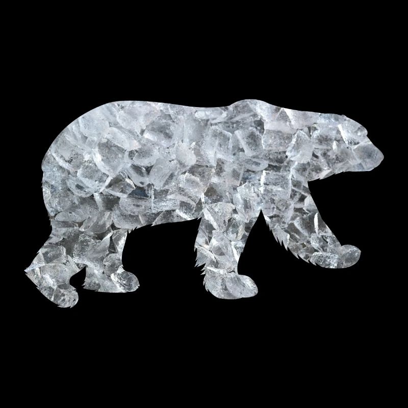 Polar Bear Polar Bear Polar Bear North Pole Arctic