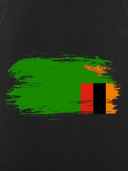 Zambia flag flag