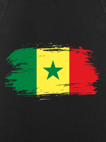 Senegal flag flag
