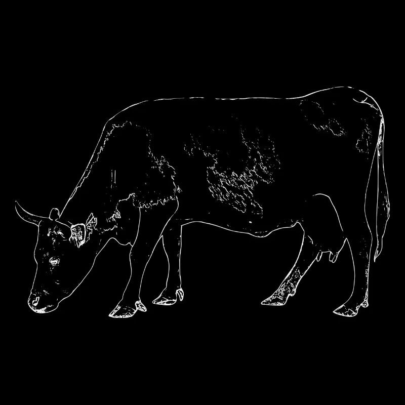 Vache