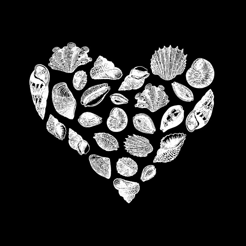 Shell Heart Sea Coast Love