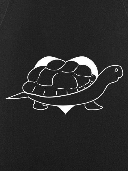 Turtle Turtle