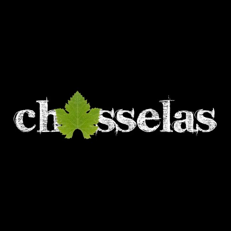 Chasselas classique