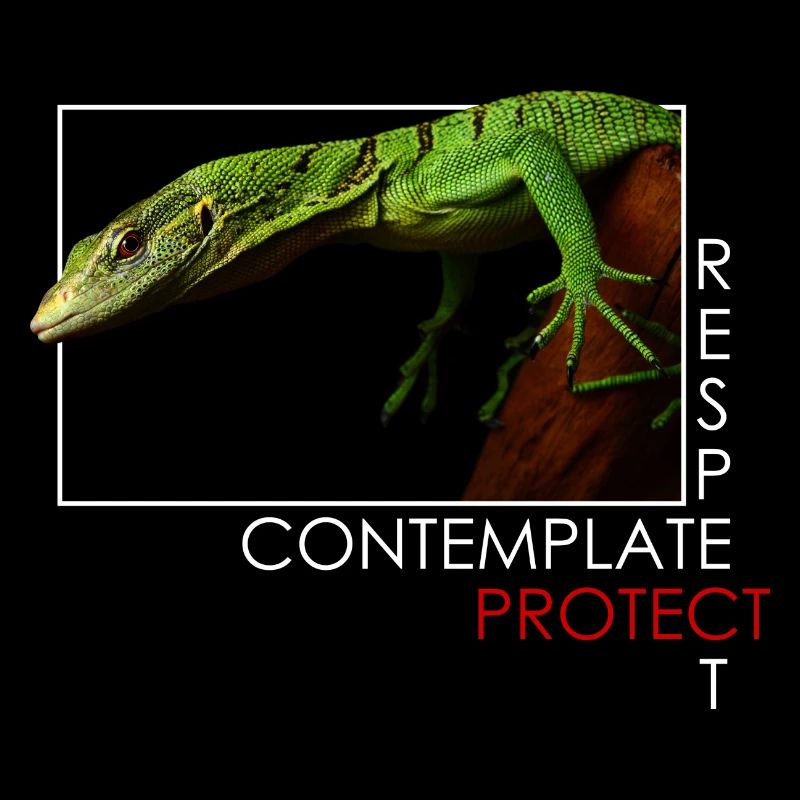 Contemplate, respect, protect