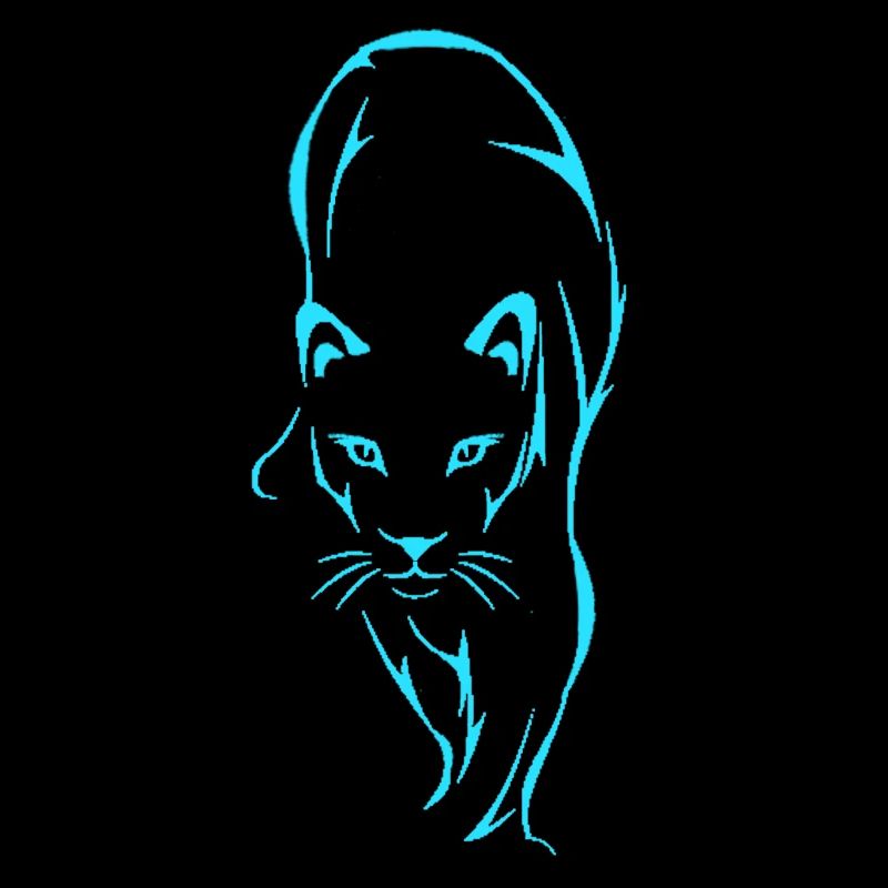 Big cat
