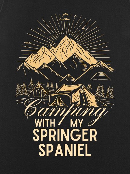 Springer Spaniel Camping