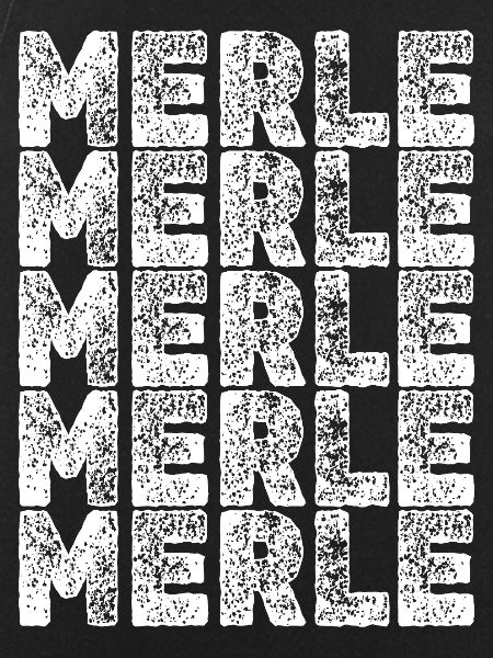 Hero Merle