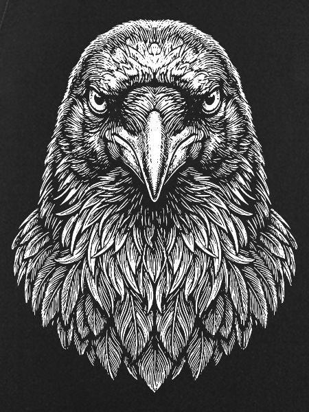 Aviator Eagle Headline Art