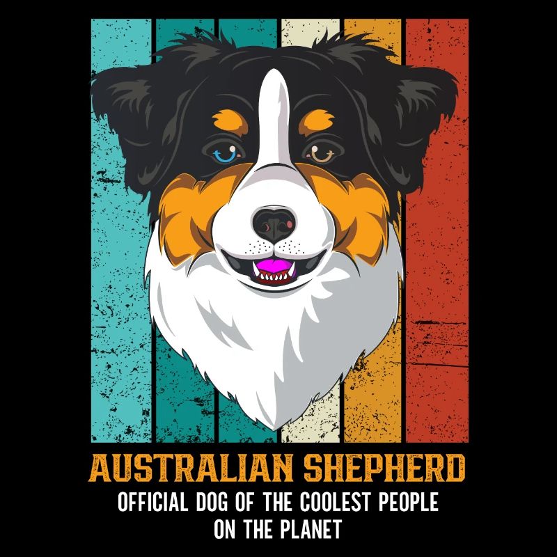 Australischer Schäferhund Aussie Dad Aussie Mom