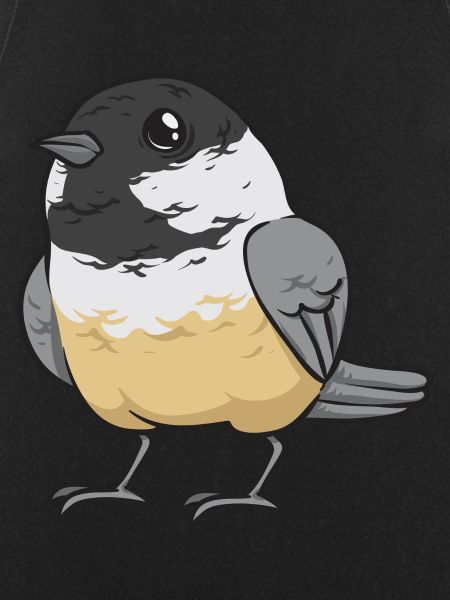 Bird Chickadee Bird Watching