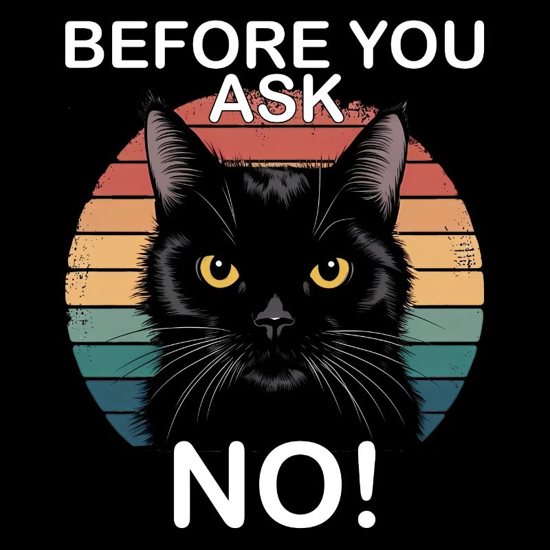 Avant de demander non, drôle de chat noir