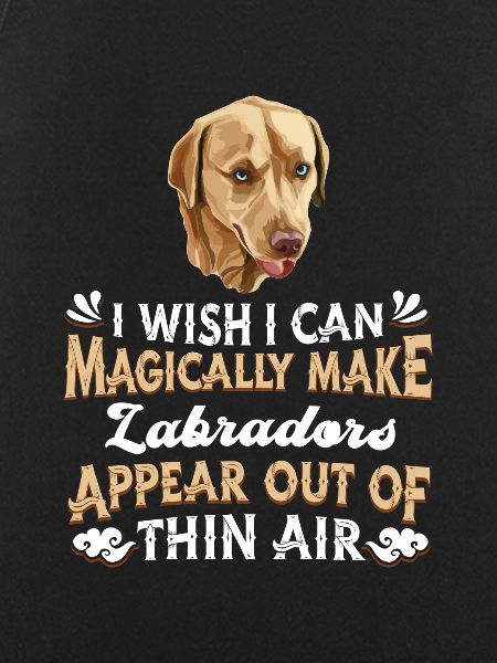 Labrador Dog
