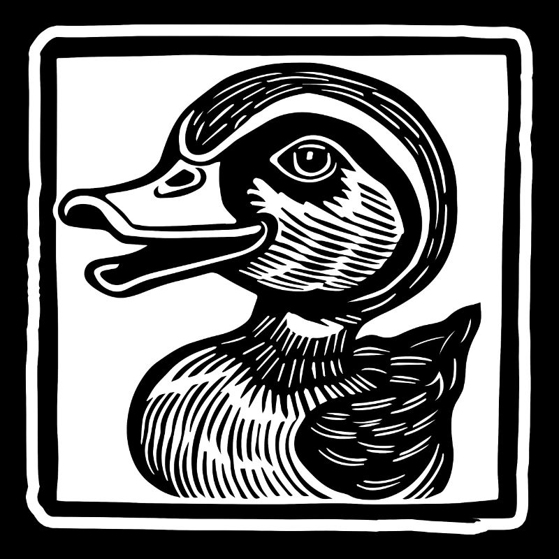 Duck Ducks