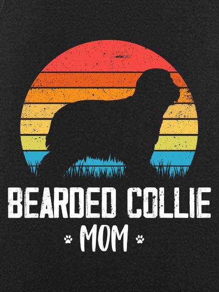 Bearded Collie