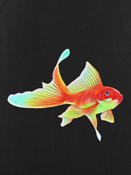 Goldfish